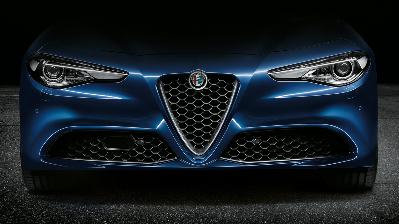 Carbon Fibre Front Grille Inserts (Base/Super Models)